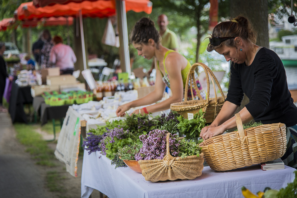 Champ des producteurs, Vertou, été 2016