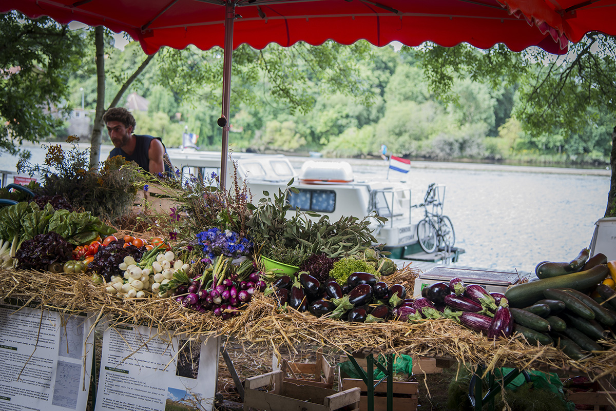 Champ des producteurs, Vertou, été 2016