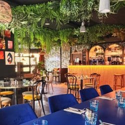 Illustration du restaurant Macoha